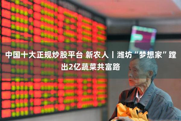 中国十大正规炒股平台 新农人丨潍坊“梦想家”蹚出2亿蔬菜共富路