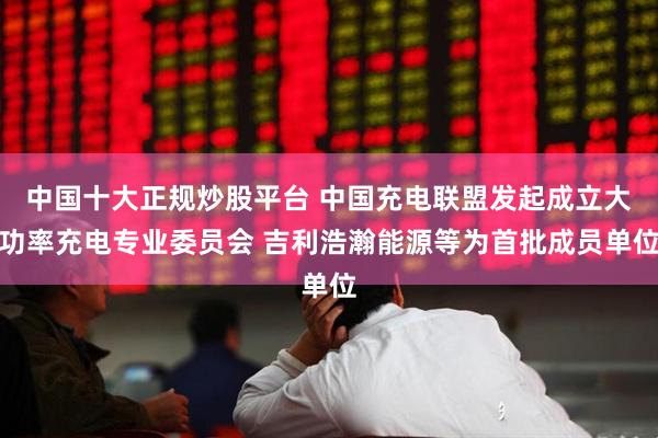 中国十大正规炒股平台 中国充电联盟发起成立大功率充电专业委员会 吉利浩瀚能源等为首批成员单位